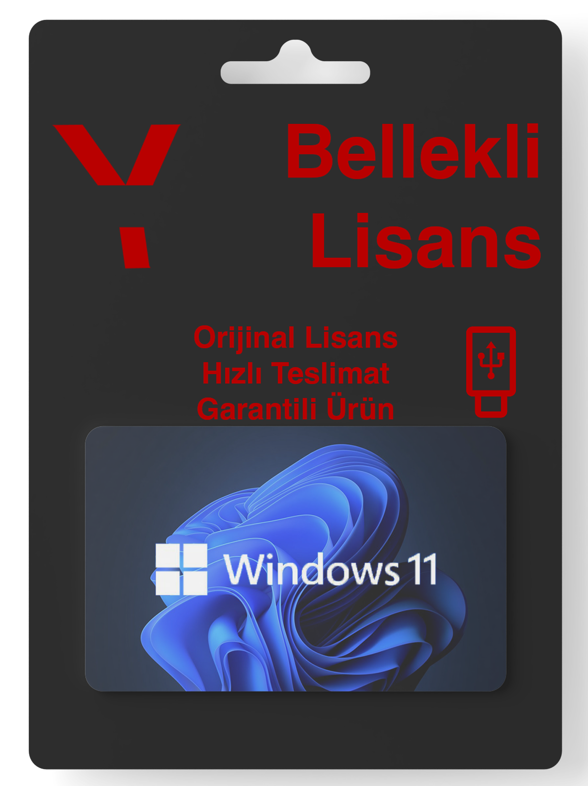 Microsoft Windows 11 – USB Bellek