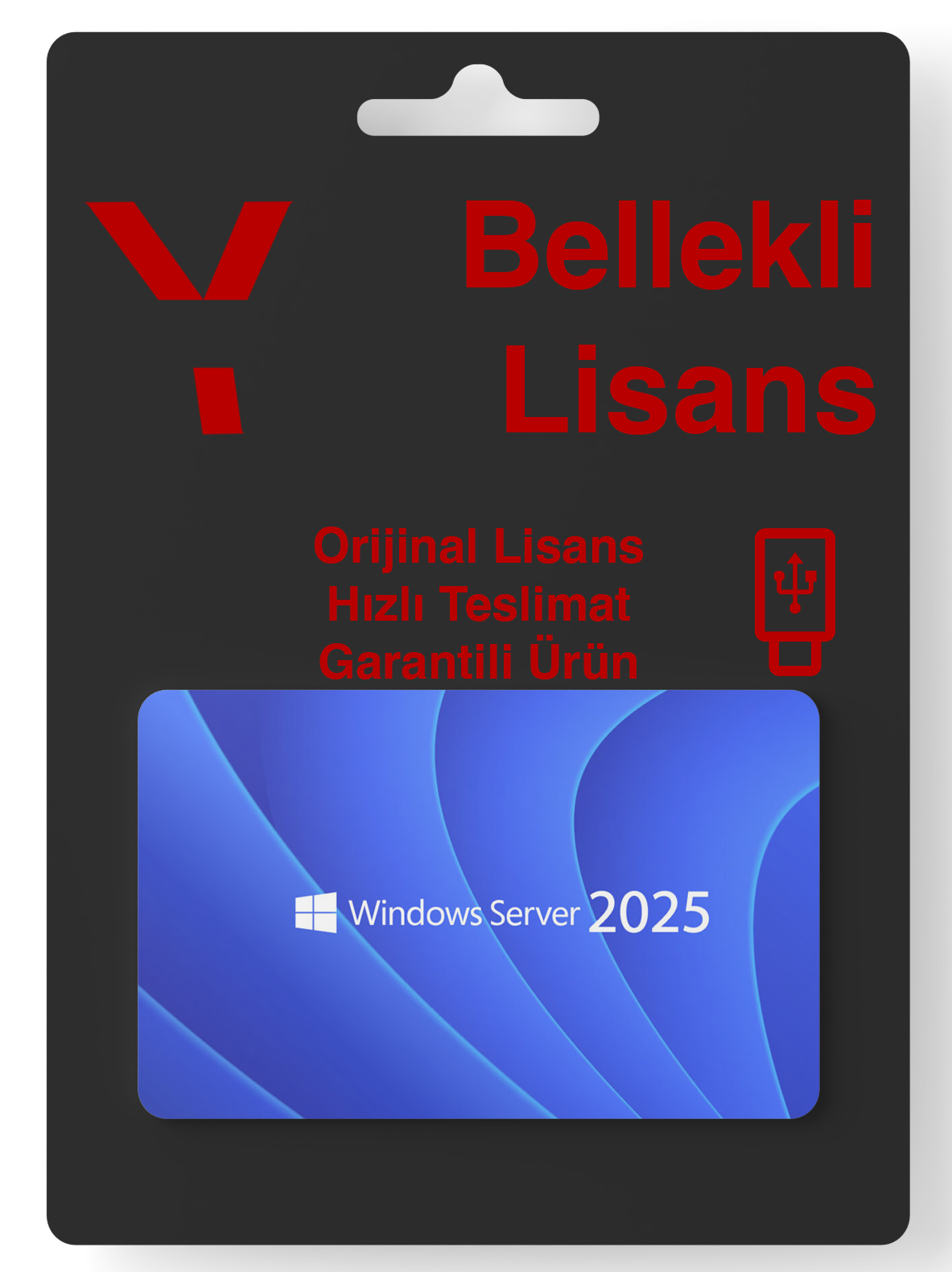 Microsoft Windows Server 2025 – USB Bellek